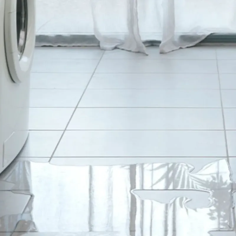 Appliance Leak Cleanup in Cascade Valley, WA