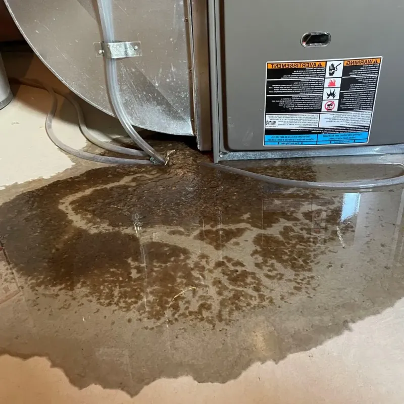 Pipe Burst and Leak Restoration in Cascade Valley, WA